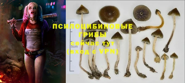 прущие крисы Заволжье