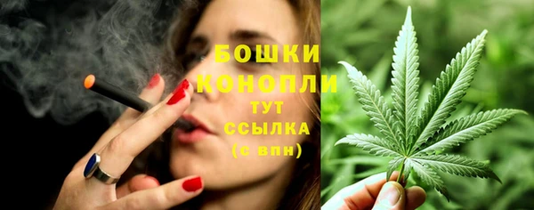 метадон Заводоуковск