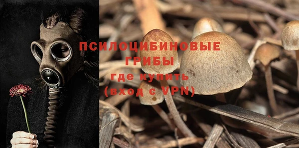 каннабис Заволжск