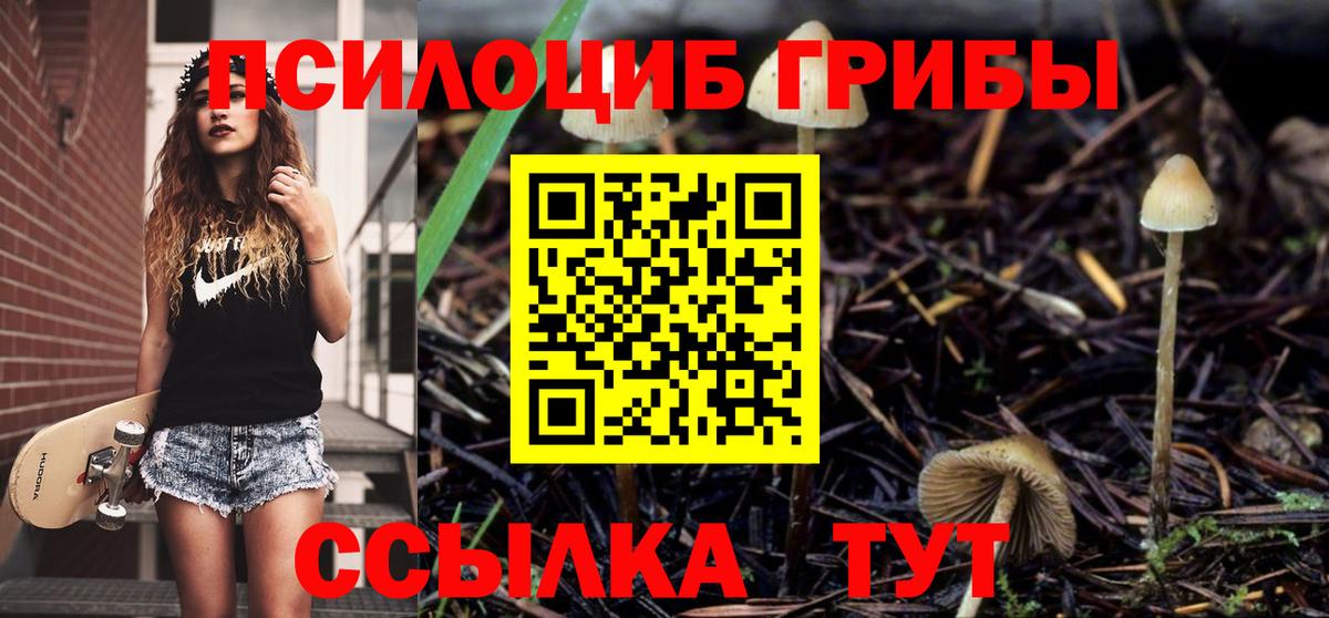 Галлюциногенные грибы Psilocybe  Вход с VPN  дарнет шоп  Славянск-на-Кубани 